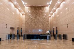 PLUS (D1), Office #567991661